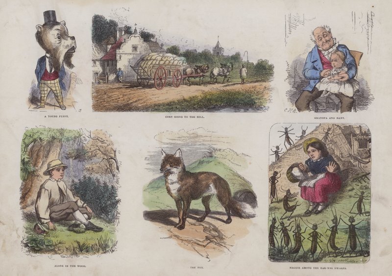 Oldal a Vonzó képeskönyvből (színes metszet) alkotó: English School