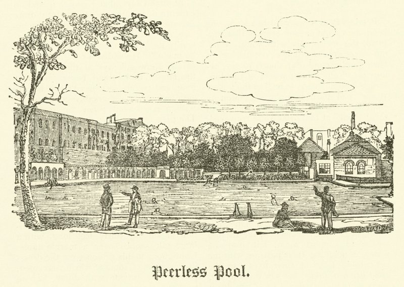 Páratlan medence (metszet) alkotó: English School