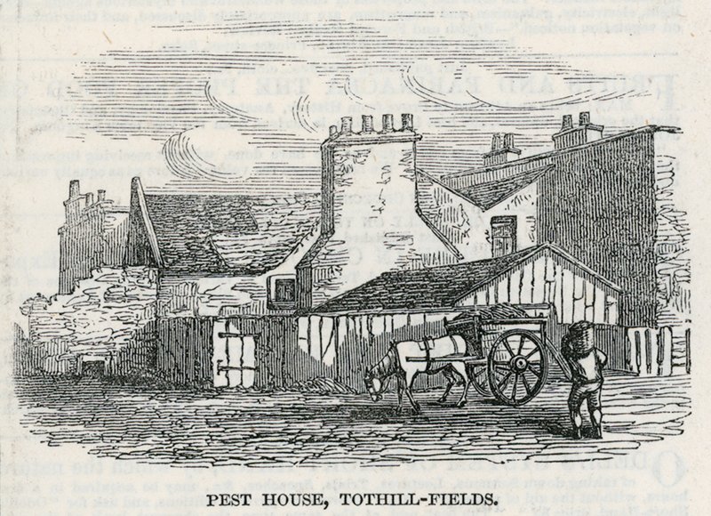 Pesti Ház, Tothill Fields alkotó: English School