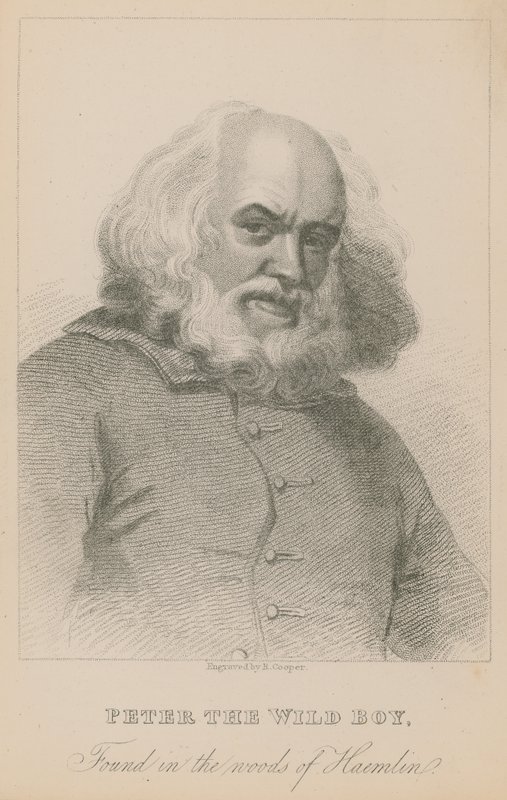 Vadfiú Péter, akit Hamelin erdőjében találtak alkotó: English School