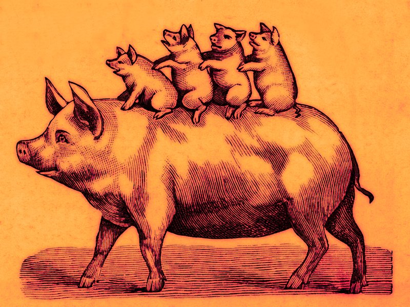 Malac a malacaival, illusztráció a Coles Funny Picture Bookból (digitálisan javított kép) alkotó: English School