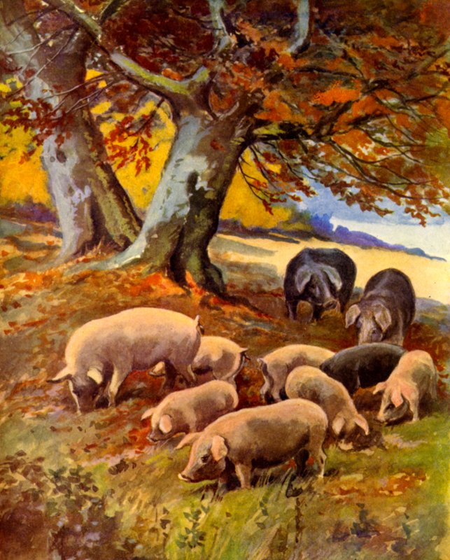Pigs at Grass (színes litó) alkotó: English School