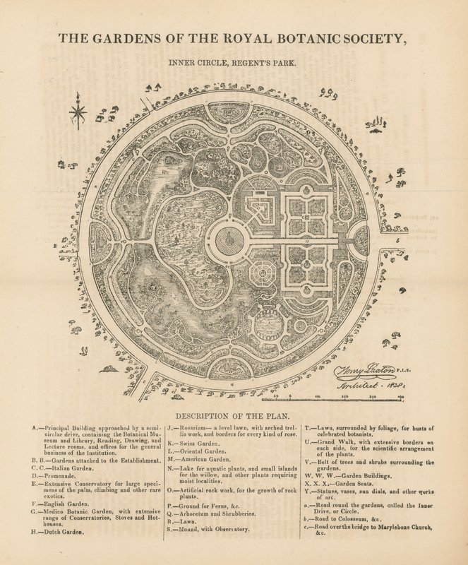 Területi kilátás a Royal Botanic Society kertjére alkotó: English School
