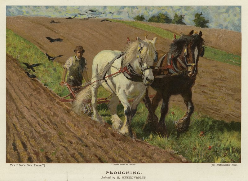 Szántás: H Wheelwright alkotó: English School