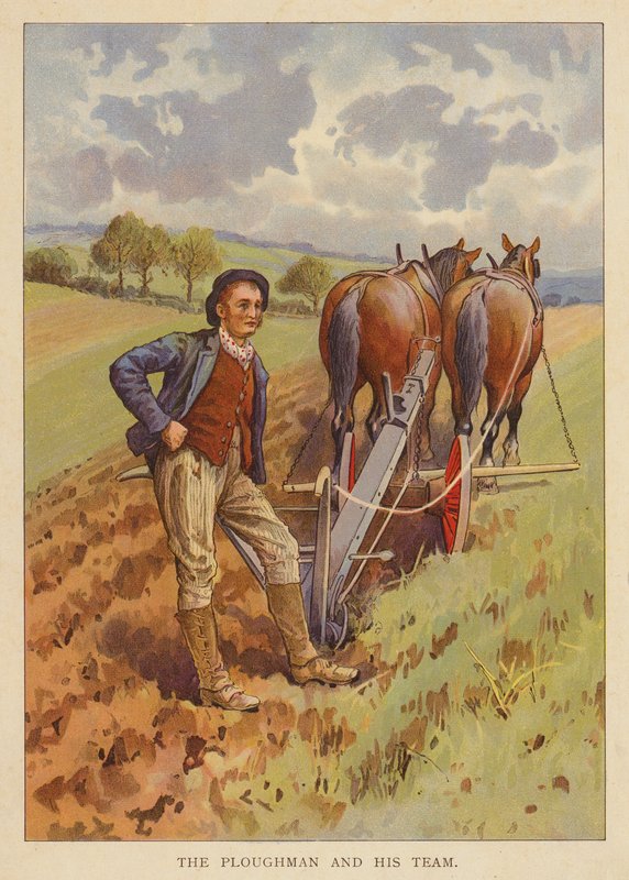 Ploughman és csapata (színes litográfia) alkotó: English School