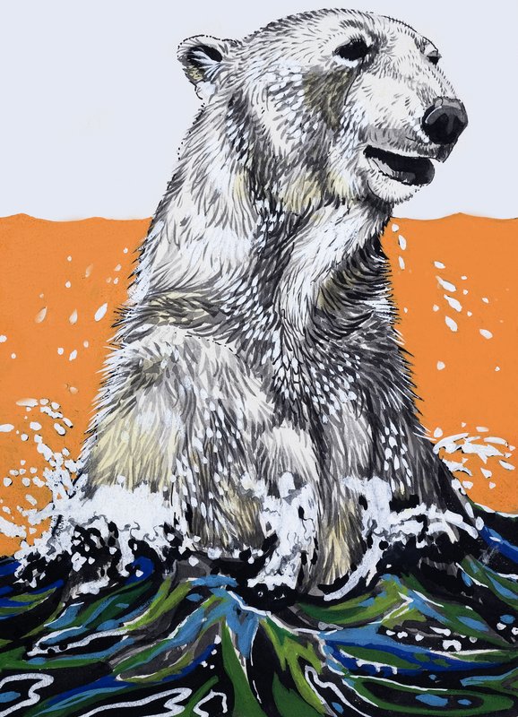 Polar Bear (gouache, papír) alkotó: English School