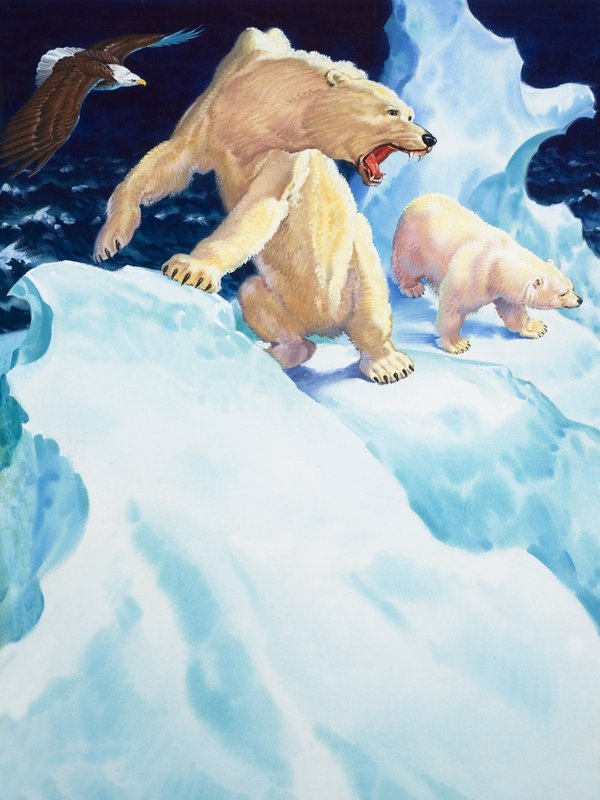 Jegesmedvék és aranysas (gouache, papír) alkotó: English School