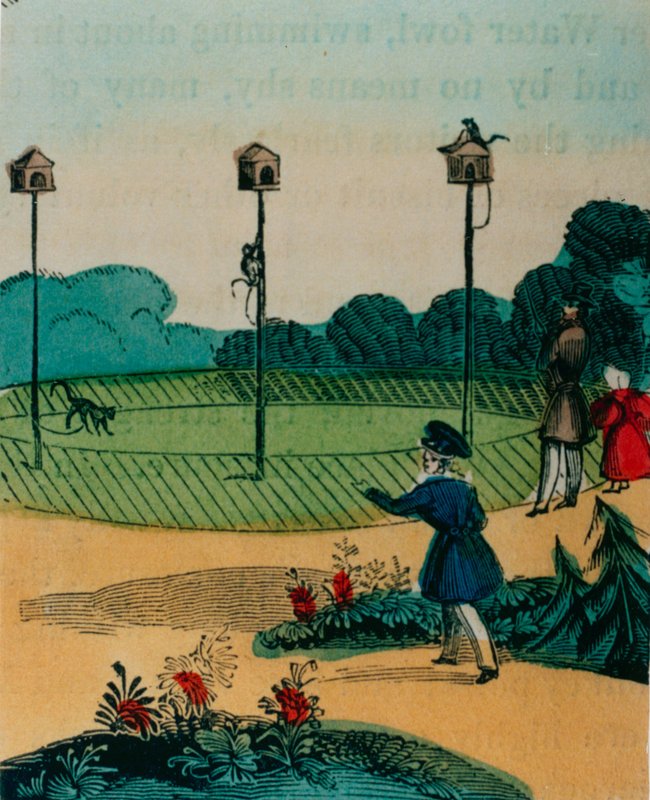 Lengyelek, amelyekhez nyáron majmokat láncoltak, mint a majmokat a botjátékon. 1840-es évek alkotó: English School