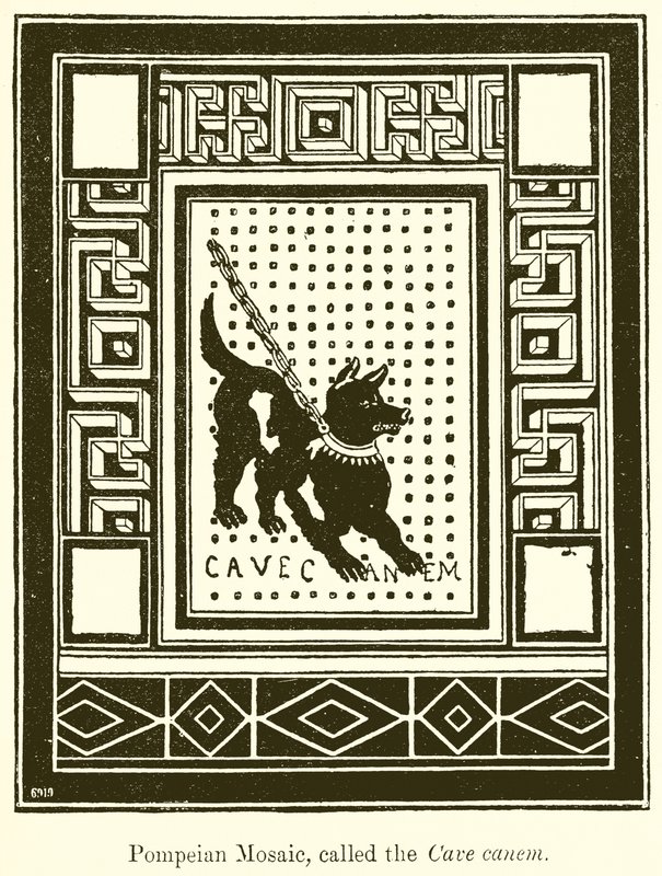 Pompei mozaik, a Cave Canem néven alkotó: English School