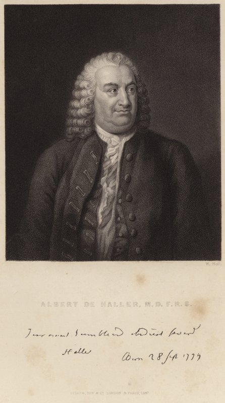 Albert de Haller portréja alkotó: English School