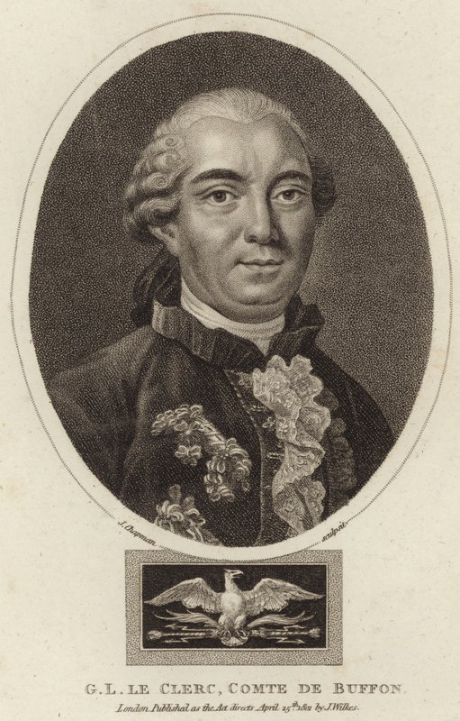 Georges-Louis Leclerc, Buffon grófjának portréja alkotó: English School