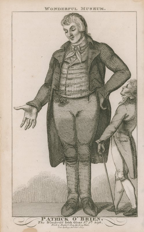 Patrick OBrien portréja alkotó: English School