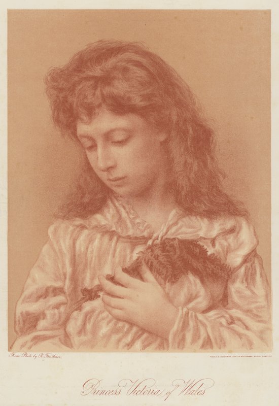 Viktória walesi hercegnő (chromolitho) alkotó: English School