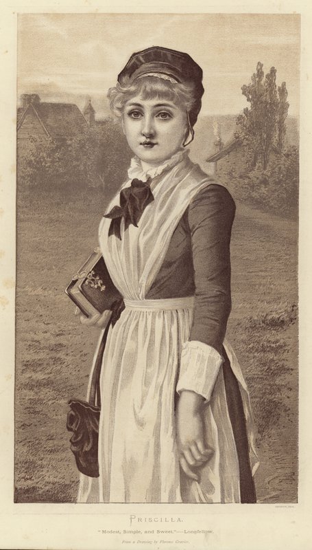 Priscilla alkotó: English School