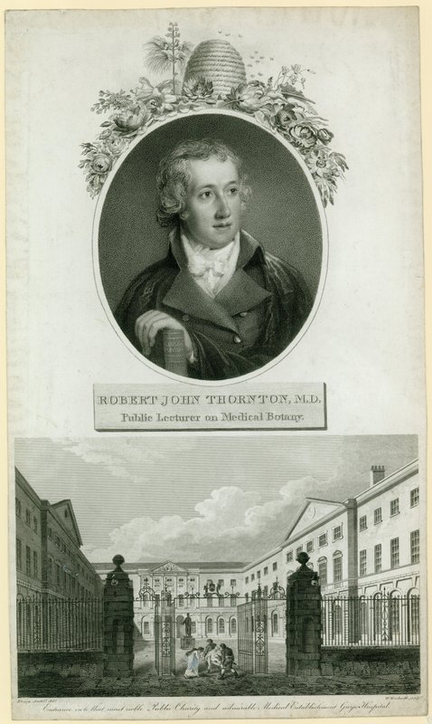 John Thornton professzor, az orvosi botanika nyilvános előadója alkotó: English School