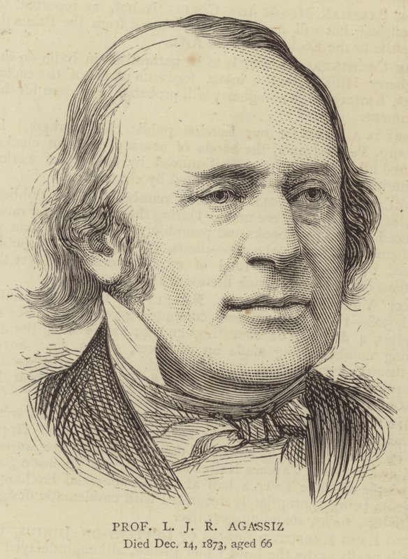 L. J. R. Agassiz professzor (metszet) alkotó: English School