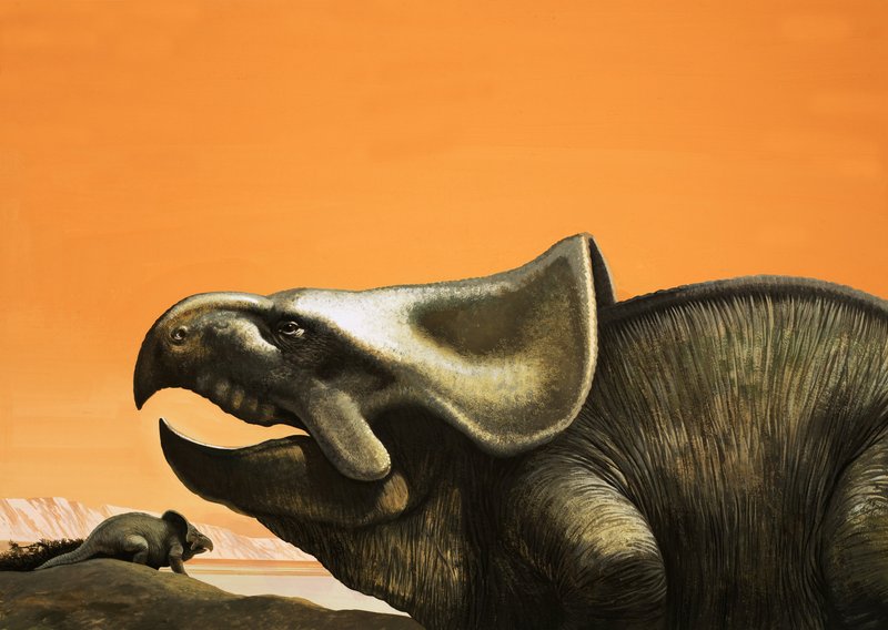 Protoceratops alkotó: English School