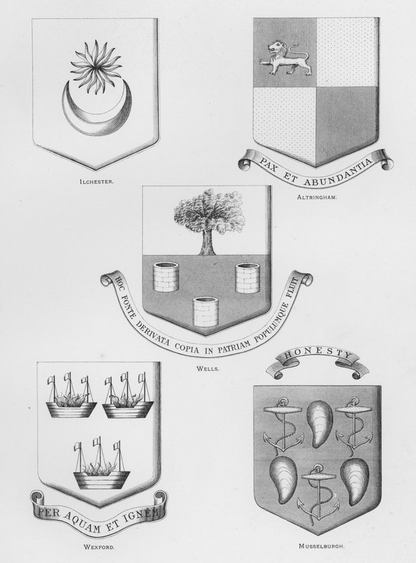 Nyilvános fegyverek: Ilchester; Altringham; Wells; Wexford; Musselburgh (metszet) alkotó: English School