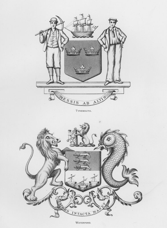 Nyilvános fegyverek: Tynemouth; Waterford (metszet) alkotó: English School