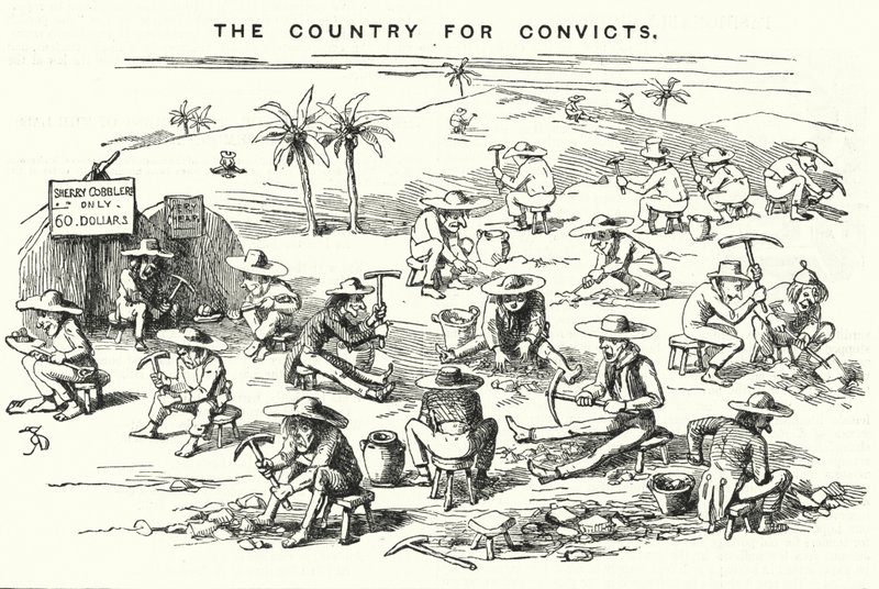 Punch rajzfilm: California, The Country for Convicts (metszet) alkotó: English School