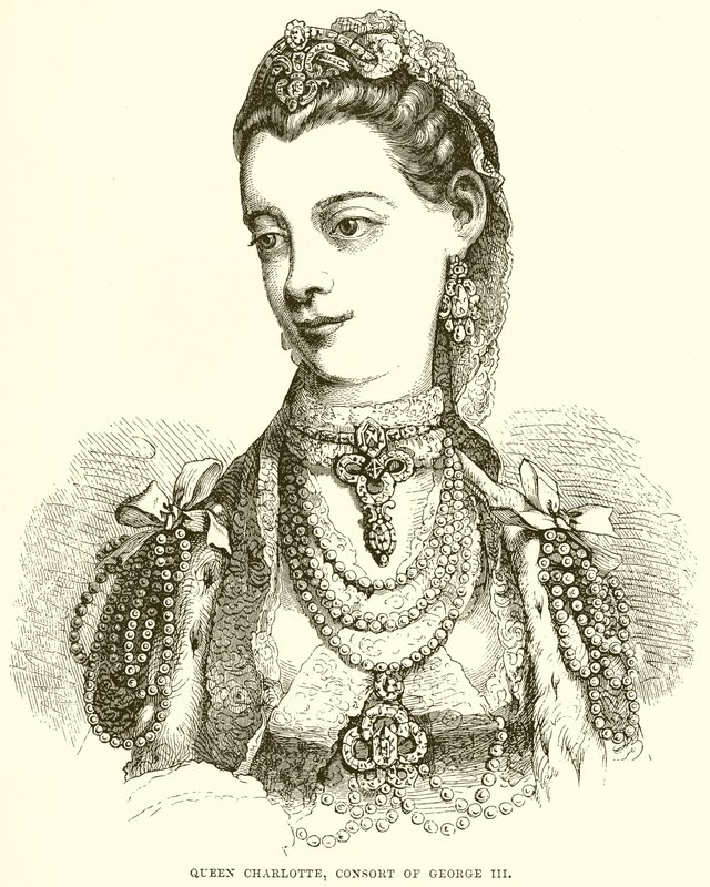 Charlotte királynő, III. György hitvese alkotó: English School