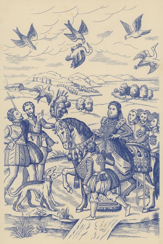 Erzsébet királynő sólyom (litográfia) alkotó: English School