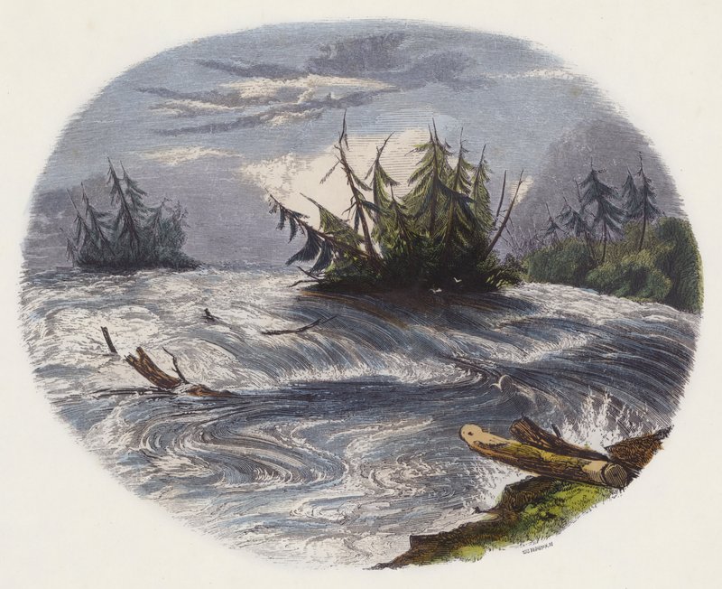 Rapids (színes gravírozás) alkotó: English School