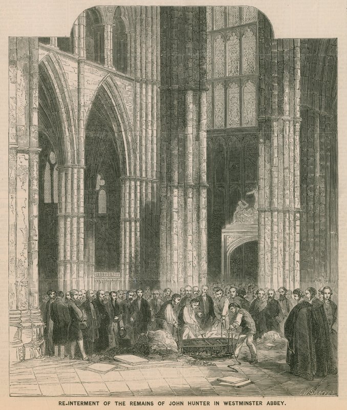 John Hunters újratemetése a Westminster Abbeyben marad alkotó: English School