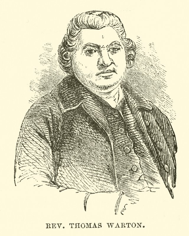 Thomas Warton tiszteletes (metszet) alkotó: English School