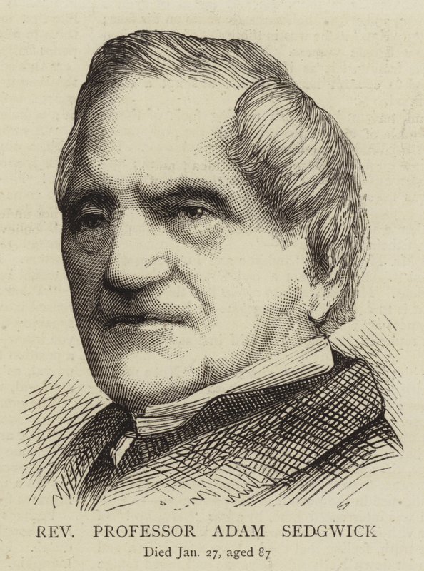 Adam Sedgwick tiszteletes professzor (metszet) alkotó: English School