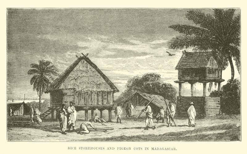Rizsraktárak és galambágyak Madagaszkáron alkotó: English School