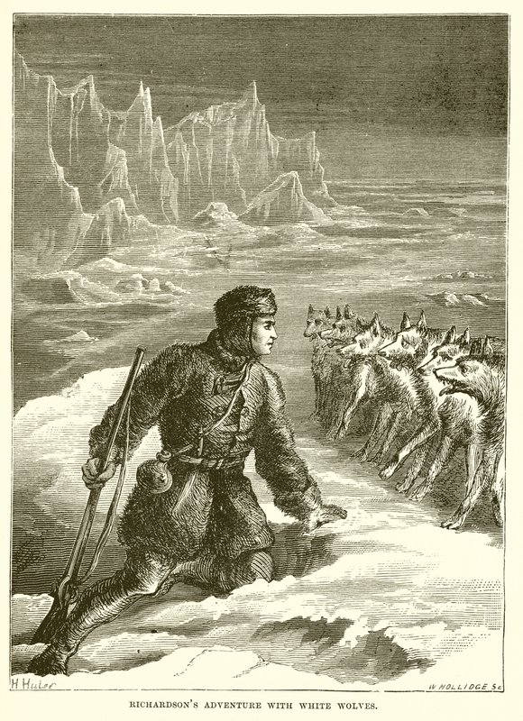 Richardson kalandja fehér farkasokkal alkotó: English School