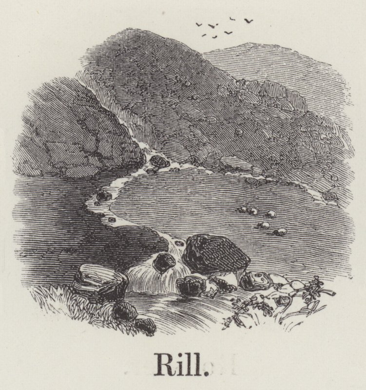 Rill (metszet) alkotó: English School