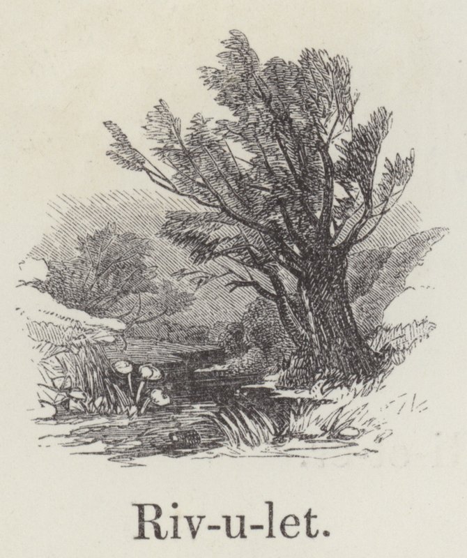 patak (metszet) alkotó: English School