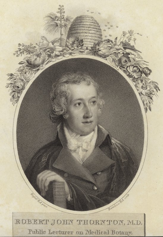 Robert John Thornton alkotó: English School