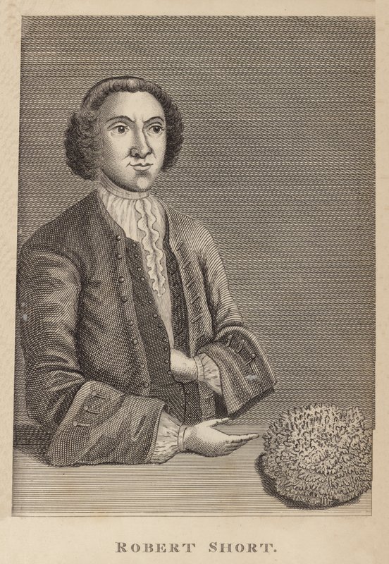 Robert Short alkotó: English School