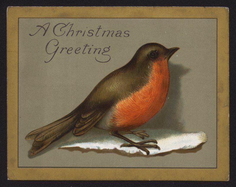 Robin (chromolitho) alkotó: English School