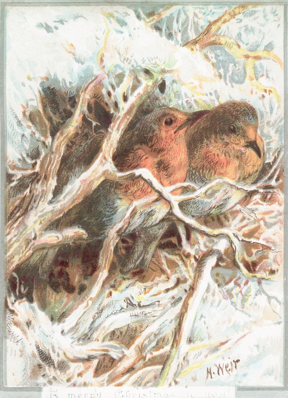 Robins ül az ágon, karácsonyi kártya alkotó: English School