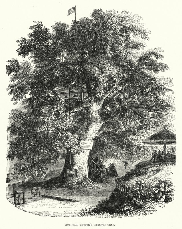 Robinson Crusoe gesztenyefája (metszet) alkotó: English School