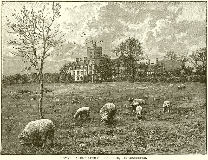 Királyi Mezőgazdasági Főiskola, Cirencester alkotó: English School