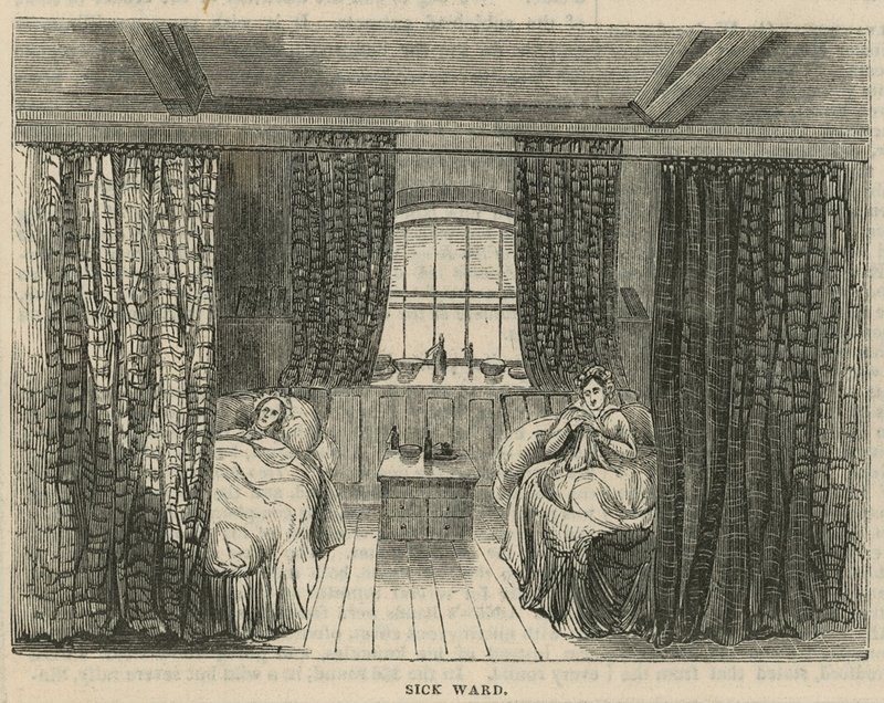 Royal Free Hospital, London: Betegosztály alkotó: English School