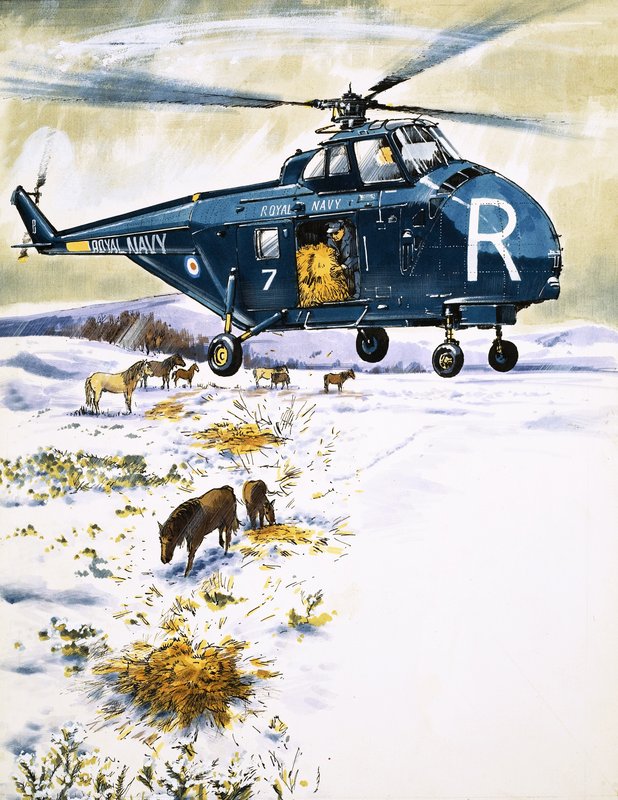 Királyi haditengerészet helikoptere állatmentésre alkotó: English School
