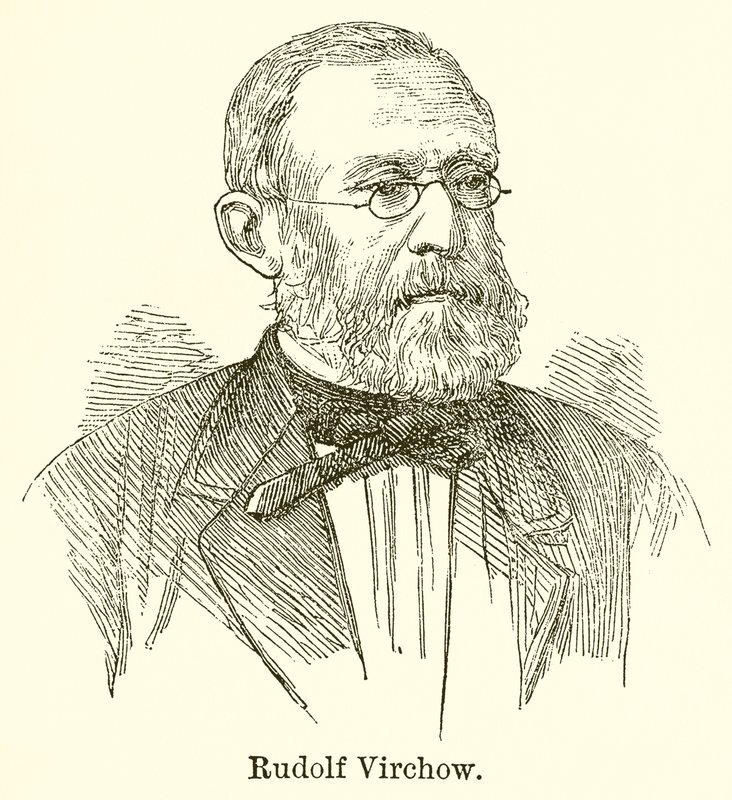 Rudolf Virchow alkotó: English School