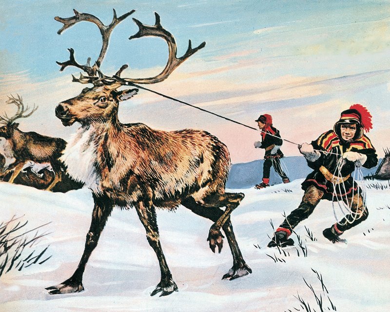 Rudolph orra soha nem piros alkotó: English School