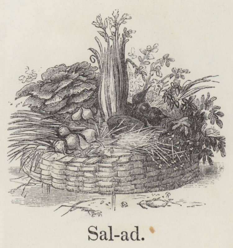 saláta (metszet) alkotó: English School