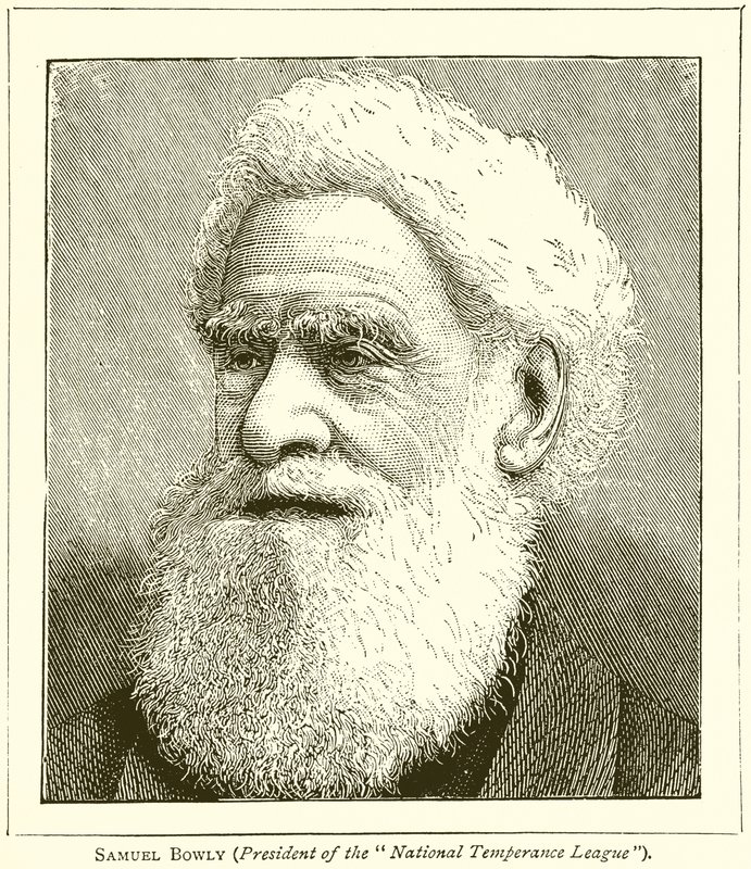 Samuel Bowly (a National Temperance League elnöke) alkotó: English School