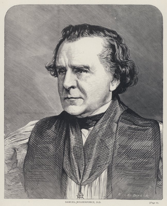 Samuel Wilberforce, DD (metszet) alkotó: English School
