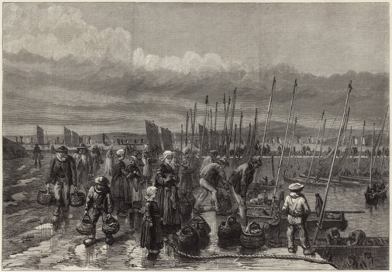 Szardínia halászata Bretagne partjainál alkotó: English School