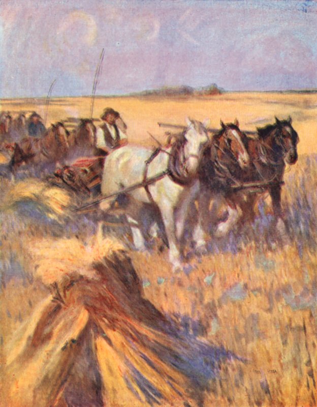 Saskatchewan, a modern skót az önkötőjén (színes litográfia) alkotó: English School