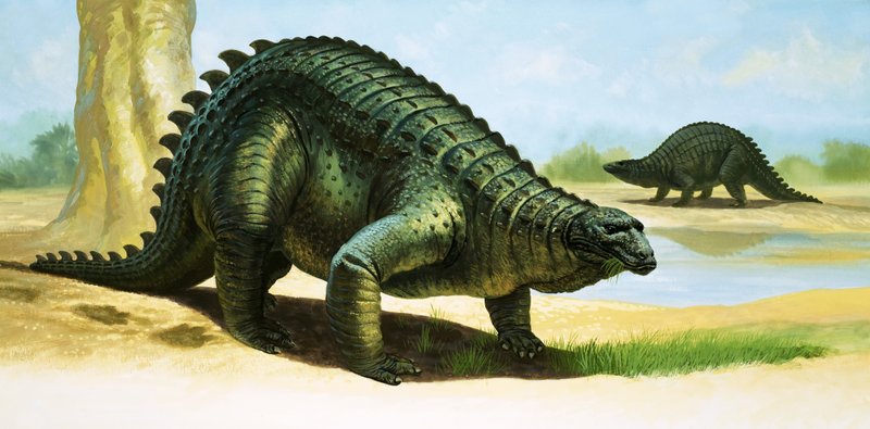 Scelidosaurus alkotó: English School